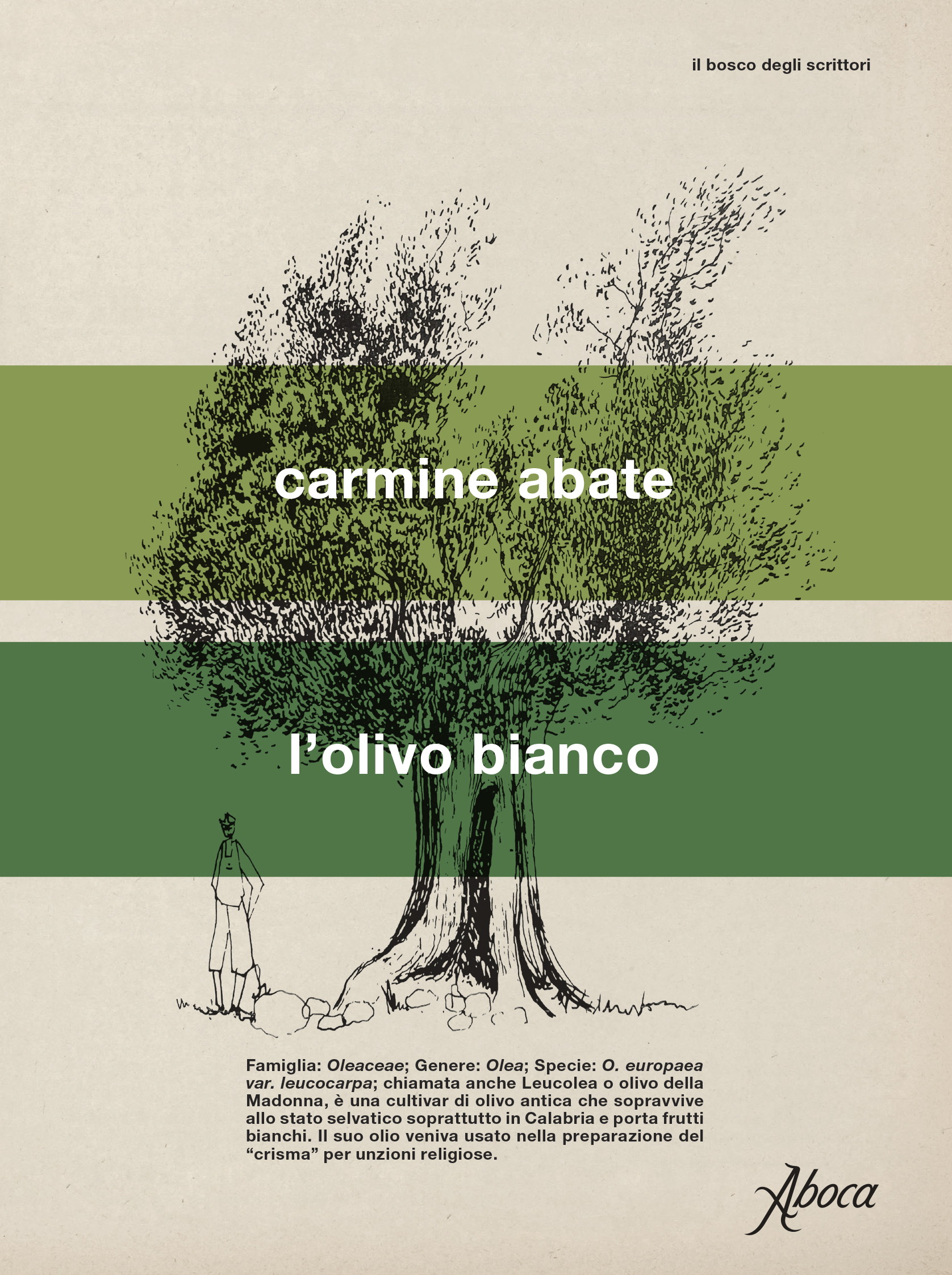 L’olivo bianco