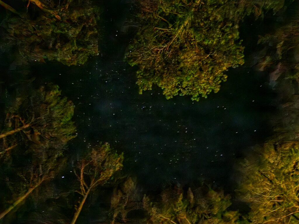 notte stellata